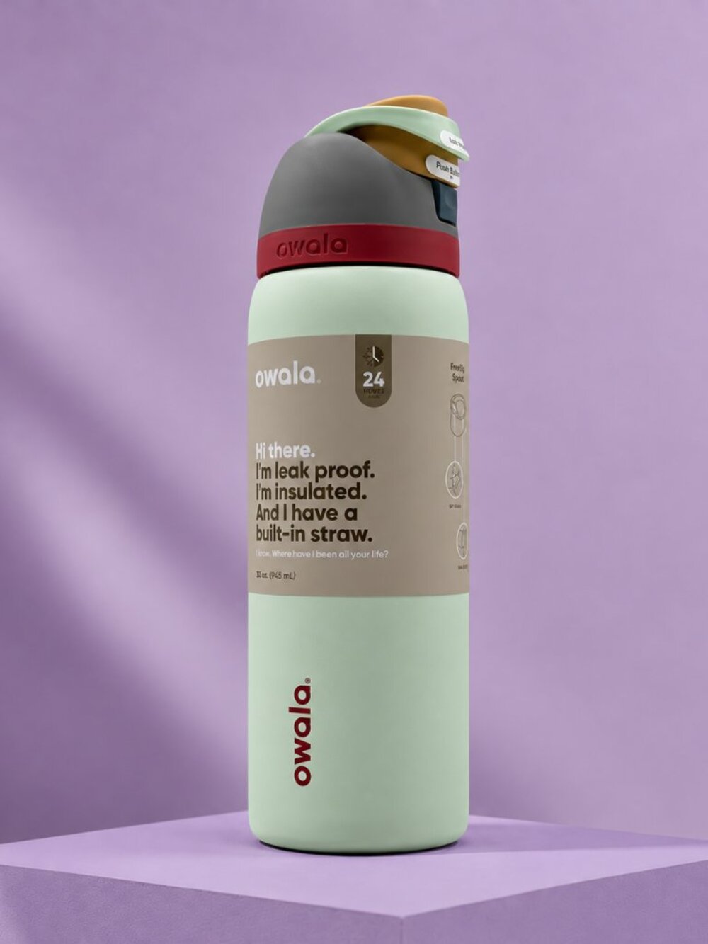 Owala 32oz Water Bottle Leakproof Insulated Straw Bottle
